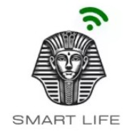 SmartLife Sales